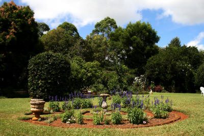 Maleny Garden Club