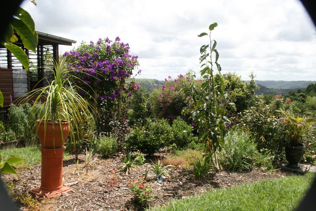 Maleny Garden Club