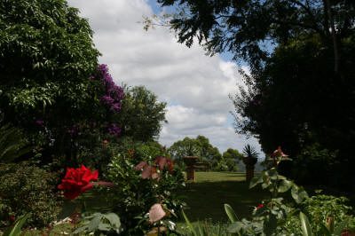 Maleny Garden Club