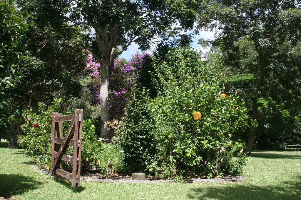 Maleny Garden Club