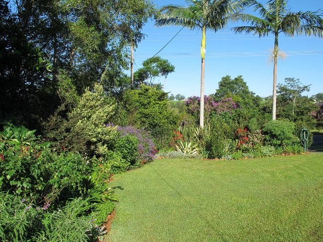 Maleny Garden Club