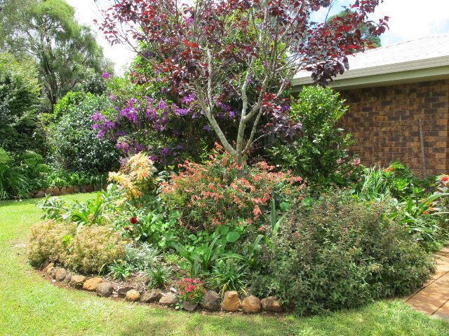 Maleny Garden Club