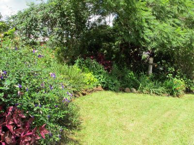 Maleny Garden Club