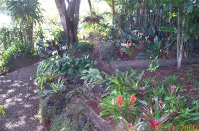Maleny Garden Club