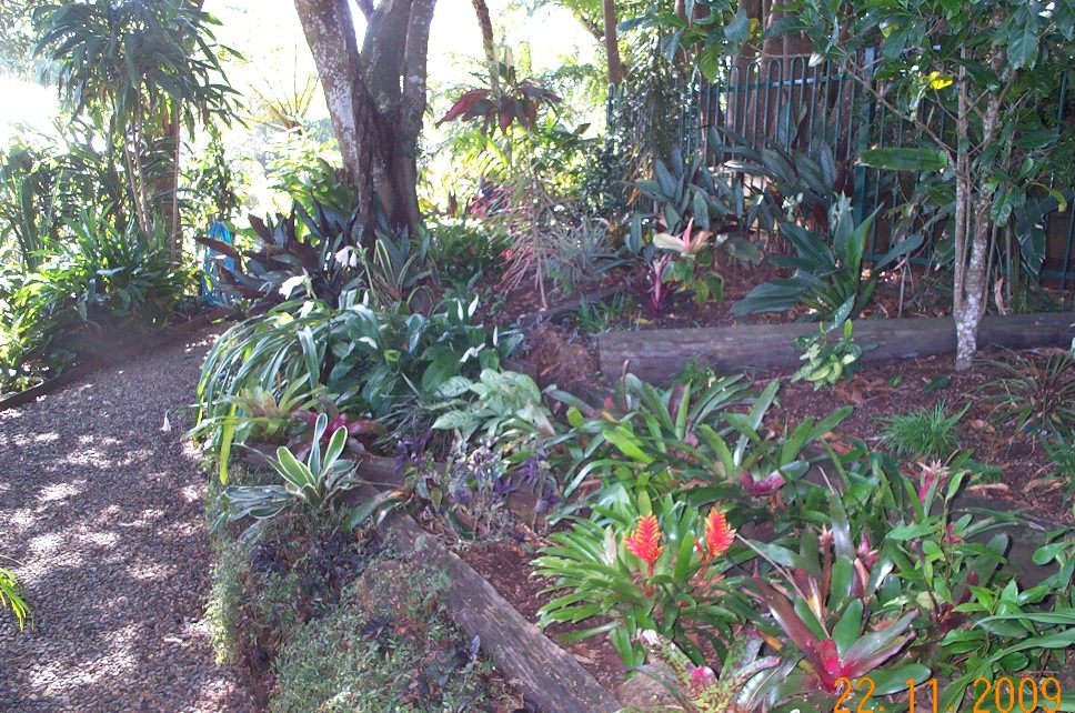 Maleny Garden Club