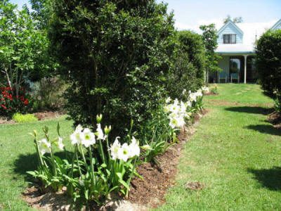 Maleny Garden Club