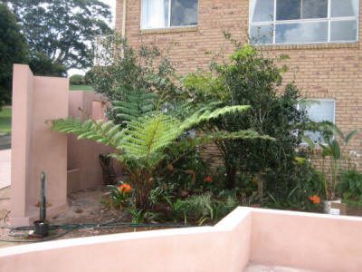 Maleny Garden Club