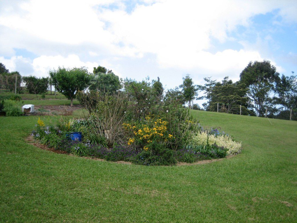 Maleny Garden Club
