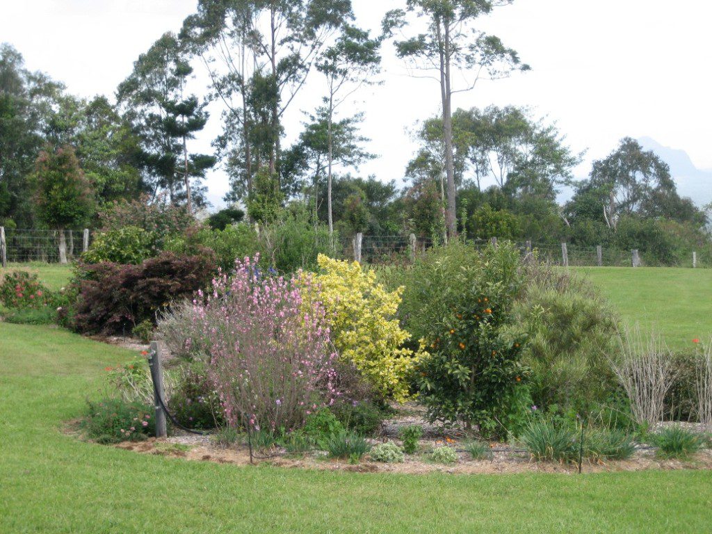 Maleny Garden Club