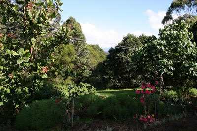 Maleny Garden Club