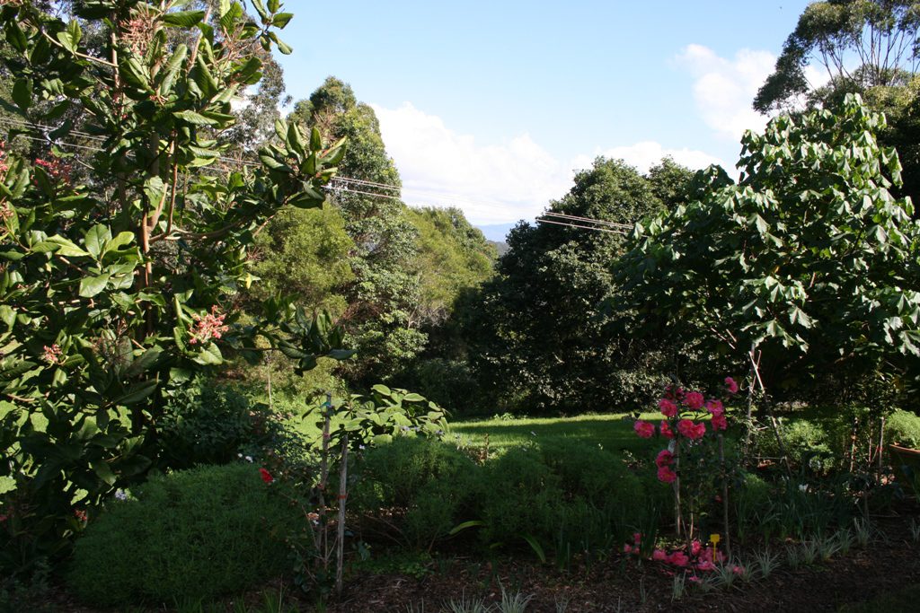 Maleny Garden Club