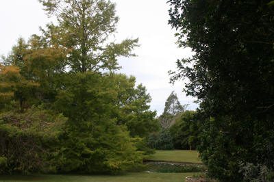 Maleny Garden Club