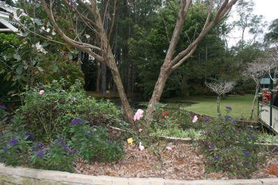 Maleny Garden Club