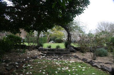 Maleny Garden Club