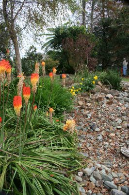 Maleny Garden Club