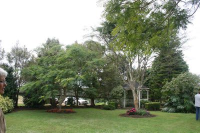 Maleny Garden Club