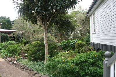 Maleny Garden Club