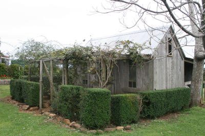 Maleny Garden Club
