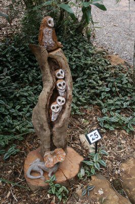Maleny Garden Club