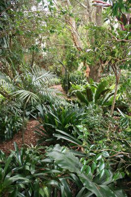 Maleny Garden Club