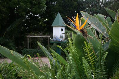 Maleny Garden Club