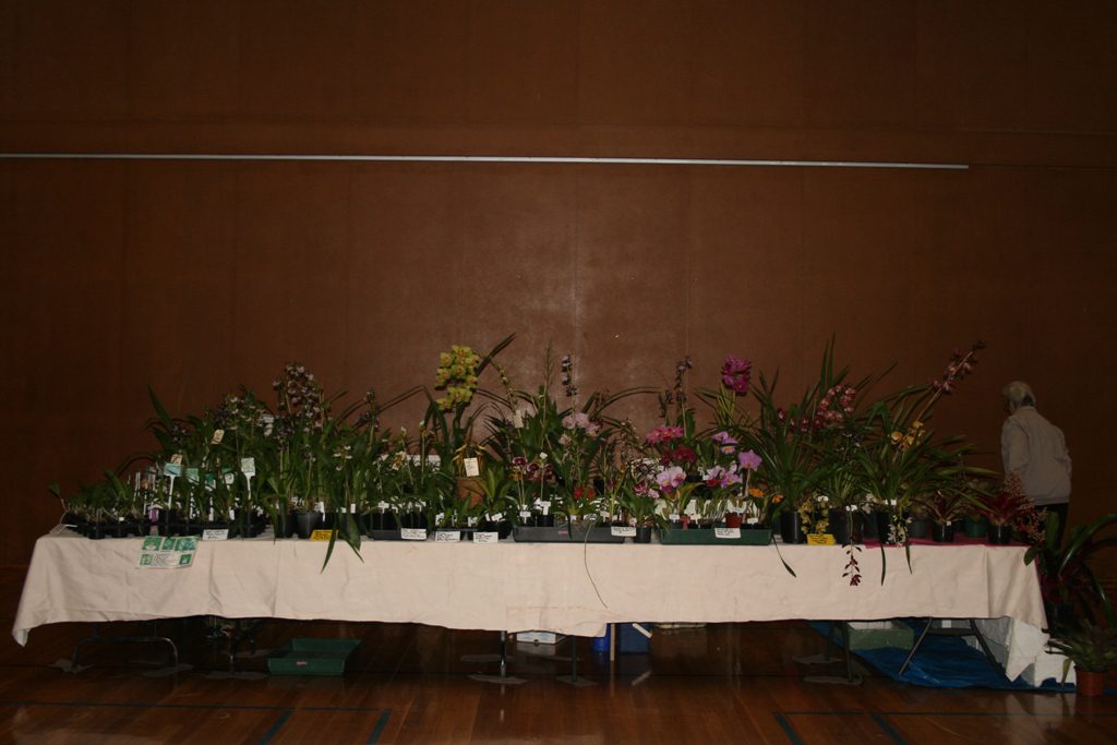 Maleny Garden Club