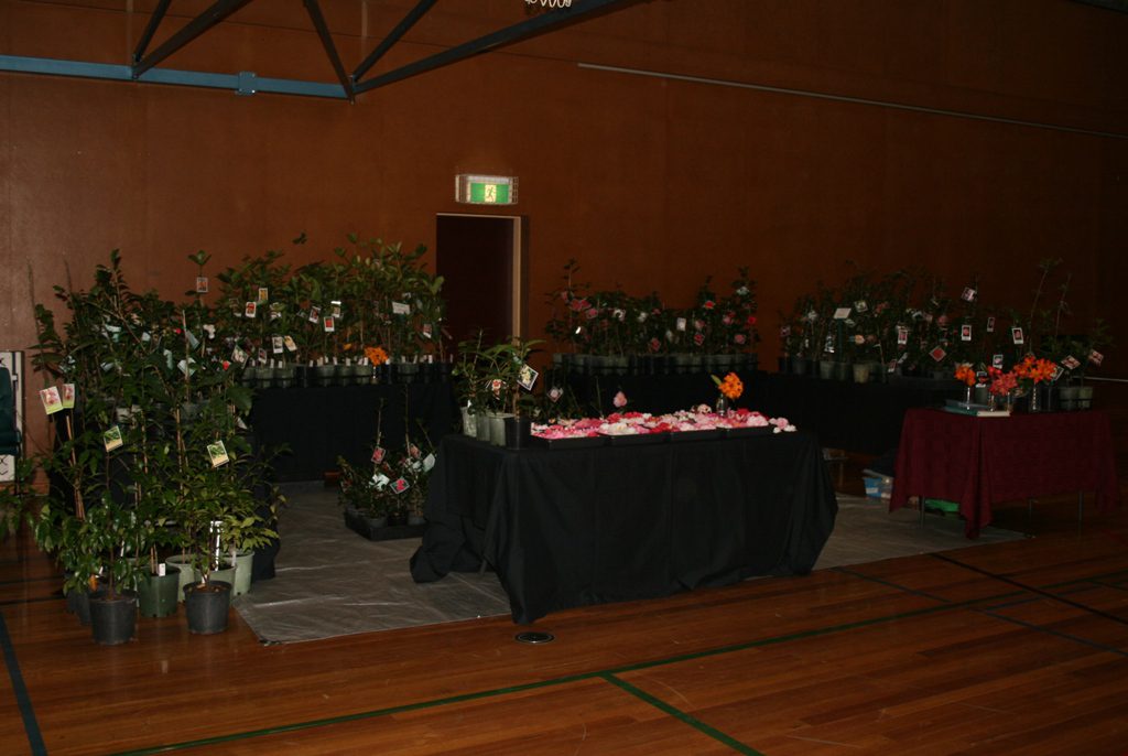Maleny Garden Club