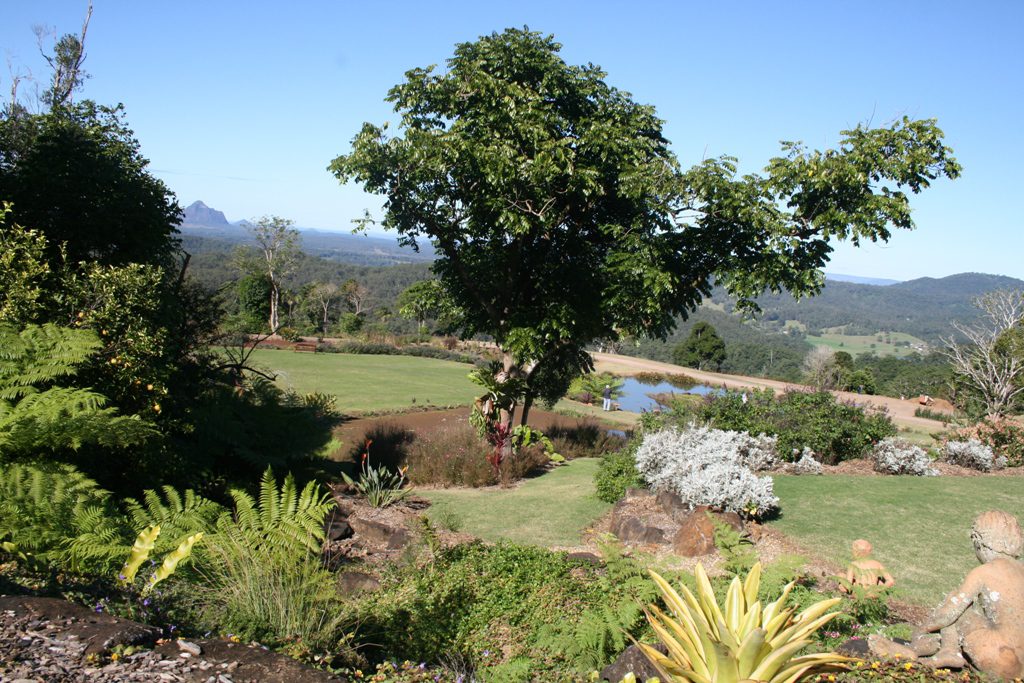 Maleny Garden Club