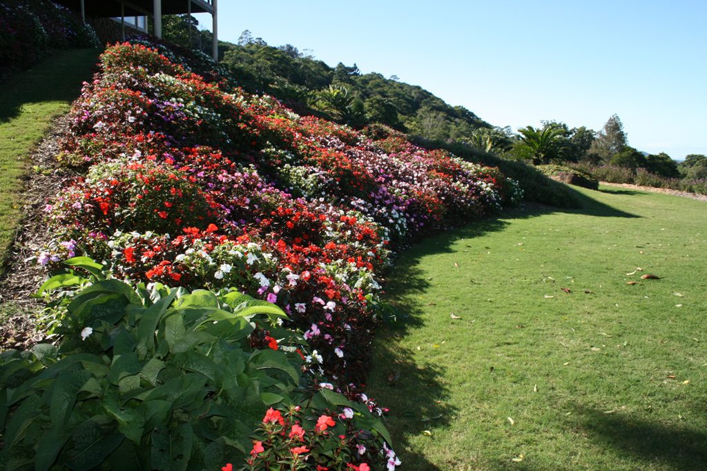 Maleny Garden Club