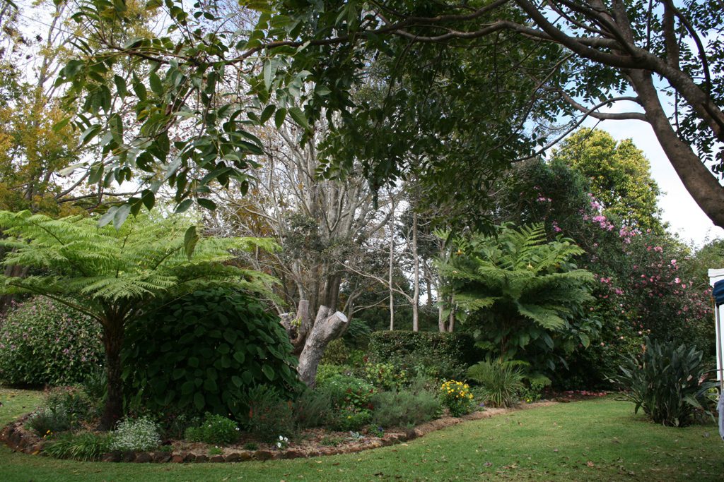 Maleny Garden Club