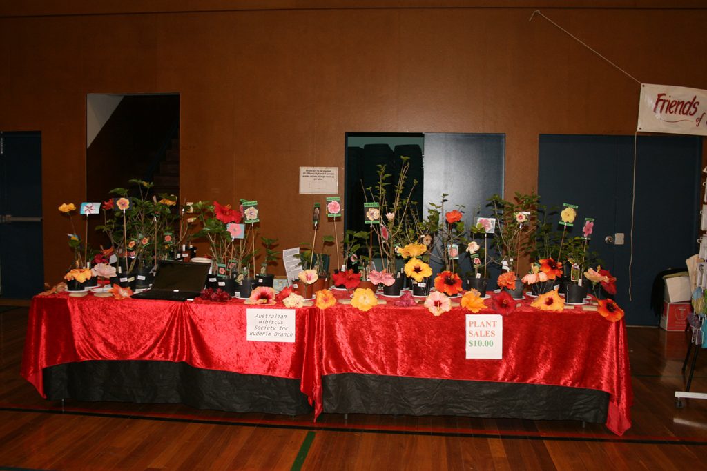Maleny Garden Club