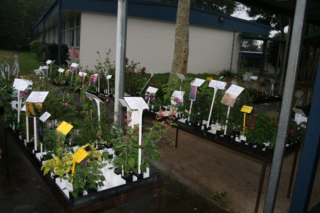 Maleny Garden Club
