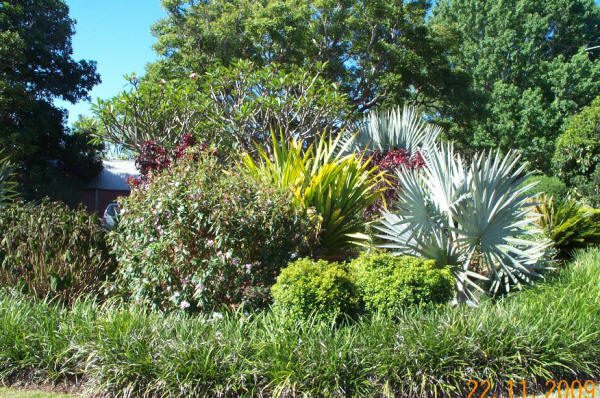 Maleny Garden Club