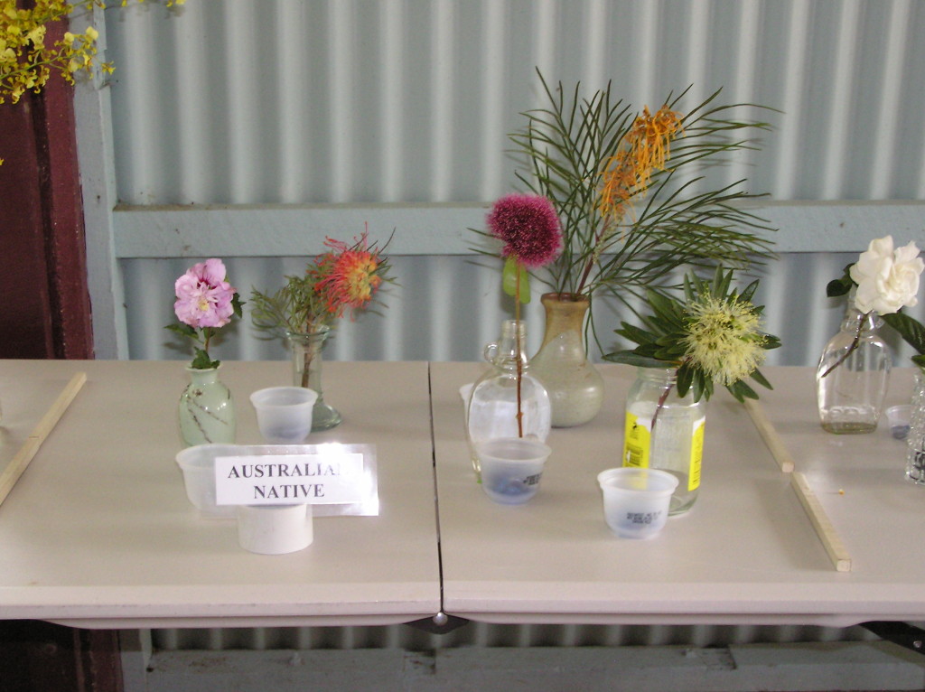 Maleny Garden Club