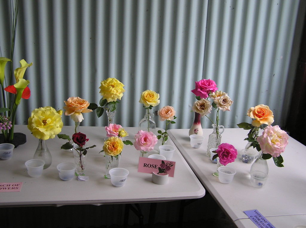 Maleny Garden Club