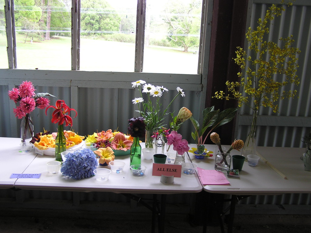 Maleny Garden Club