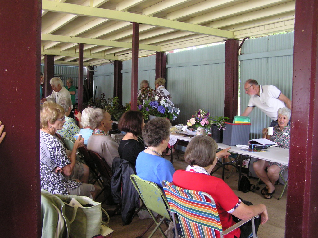 Maleny Garden Club