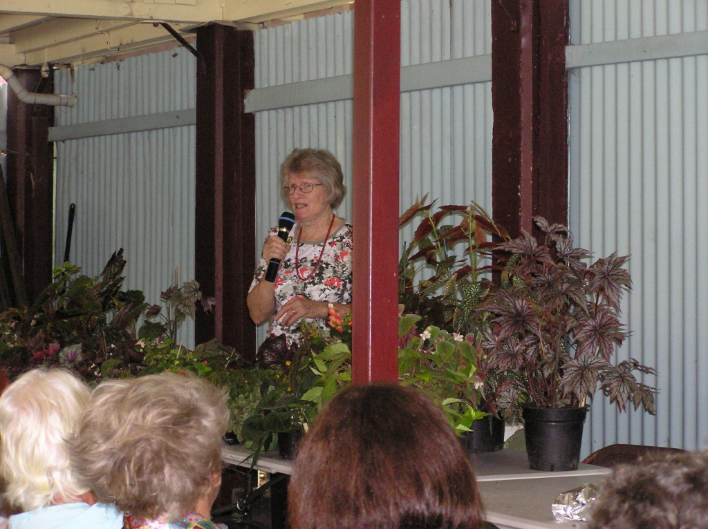 Maleny Garden Club
