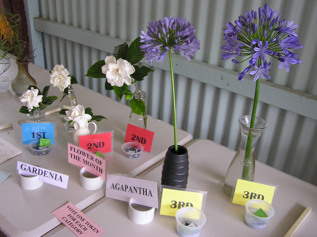 Maleny Garden Club