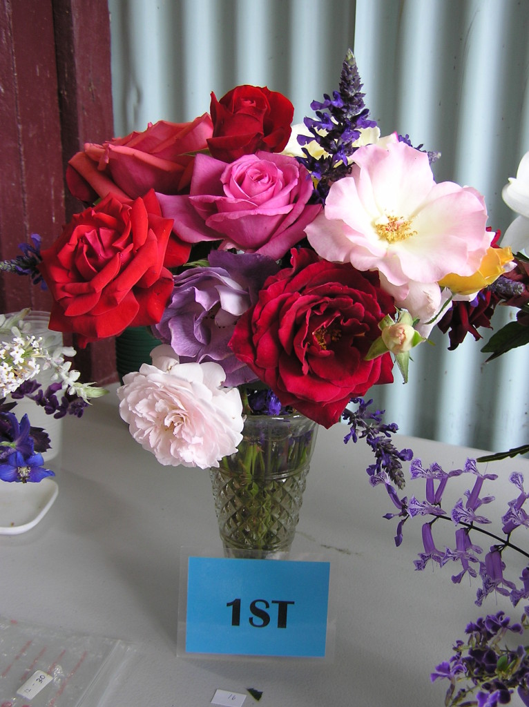 Maleny Garden Club