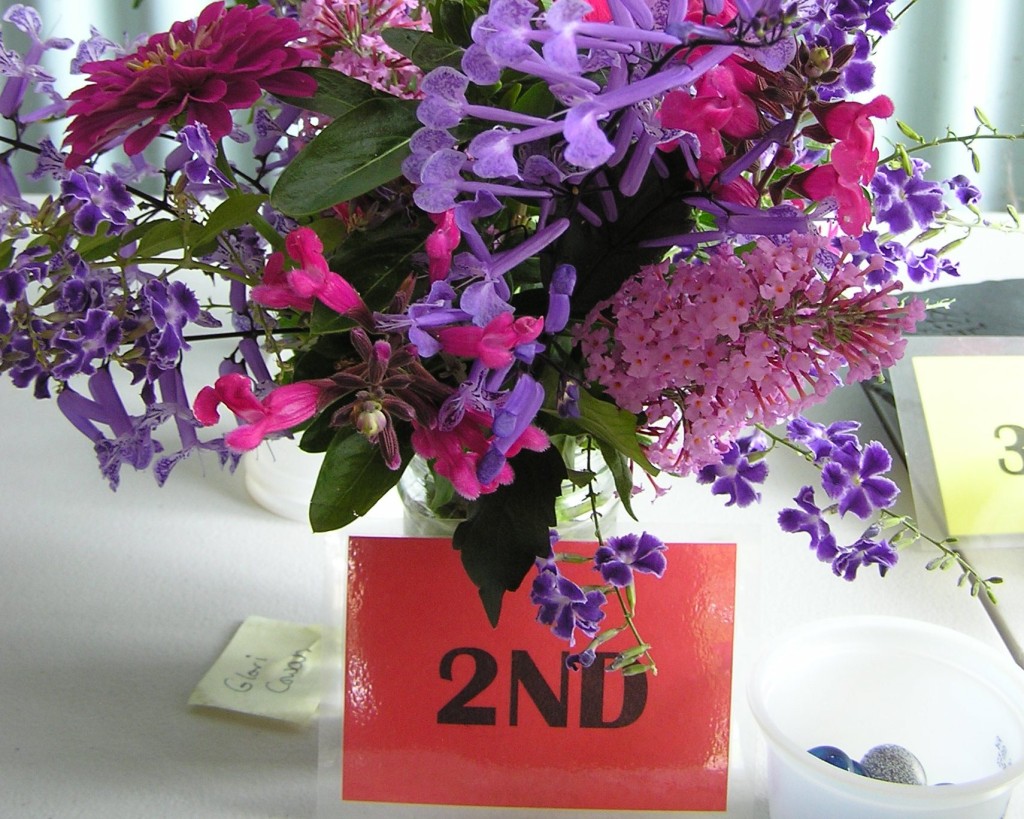Maleny Garden Club
