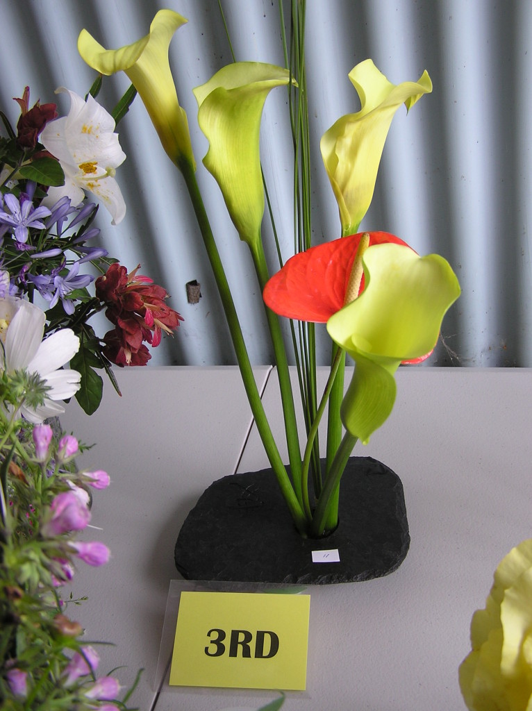 Maleny Garden Club