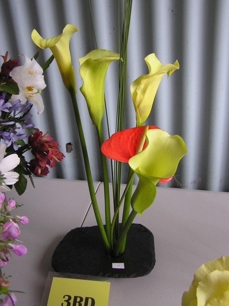 Maleny Garden Club