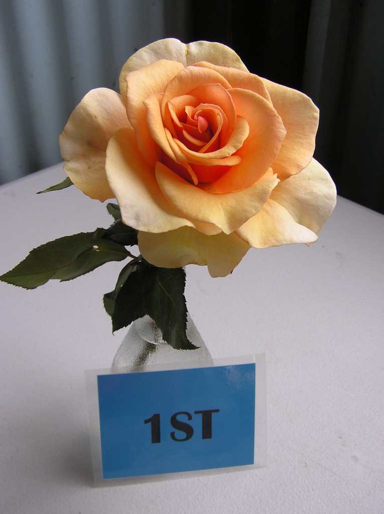 Maleny Garden Club