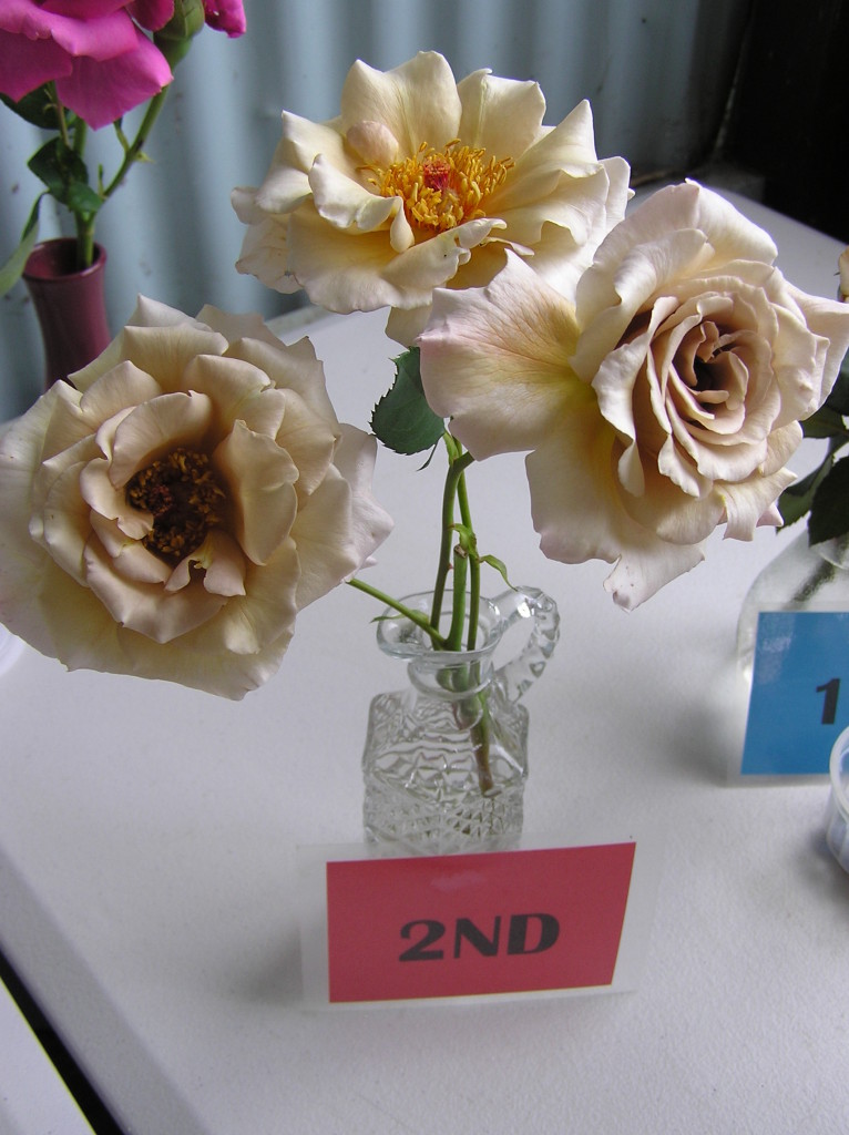 Maleny Garden Club
