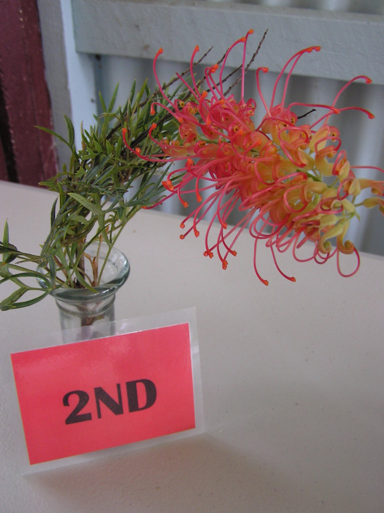 Maleny Garden Club