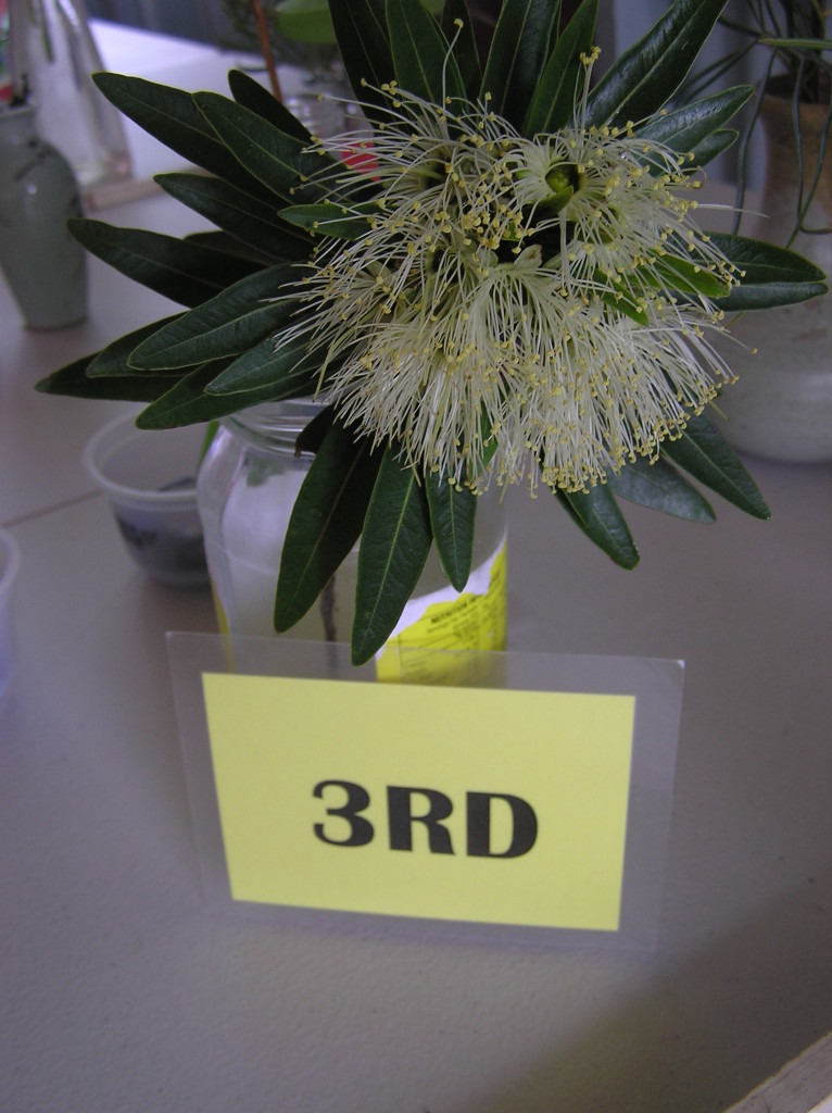 Maleny Garden Club