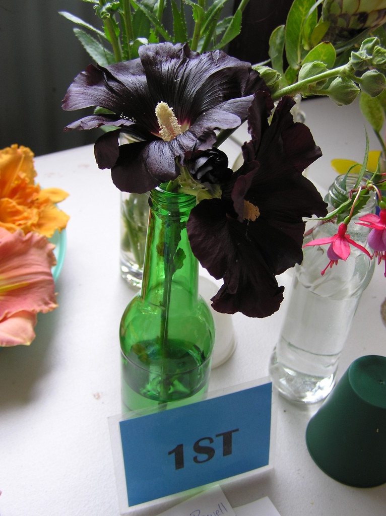 Maleny Garden Club
