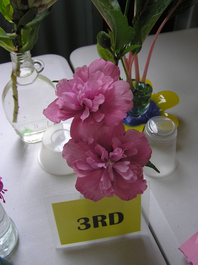 Maleny Garden Club