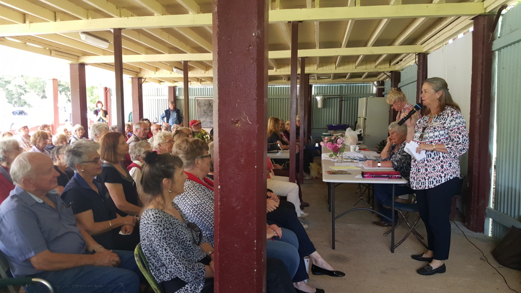 Maleny Garden Club